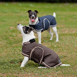 Produktbild von Eskadron Basics Hundemantel Ripstop