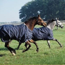 Produktbild von Eskadron Basics Ripstop Fleecelining Weidedecke