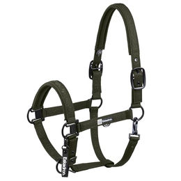 Produktbild von Eskadron Dynamic 25 Sparkle Double Pin Halfter