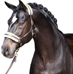 Produktbild von Eskadron Faux Fur Set Elegance Schoner