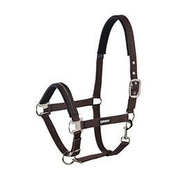 Produktbild von Eskadron Halfter Dornschnalle New Basic Darkbrown Pony 2