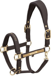 Produktbild von Eskadron Heritage 2526 Leather Double Pin Halfter