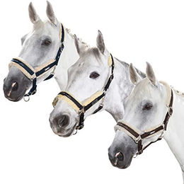 Eskadron New Basic Glossy Faux Fur Halfter – Bild 1 von 3