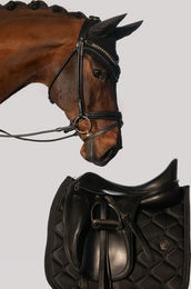 Produktbild von Eskadron Platinum 25 Highgloss Pearls Schabracke