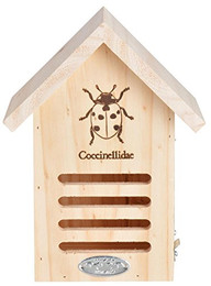 Produktbild von Esschert Design Marienkäferhaus aus Fichtenholz FSC - 1 Stk.