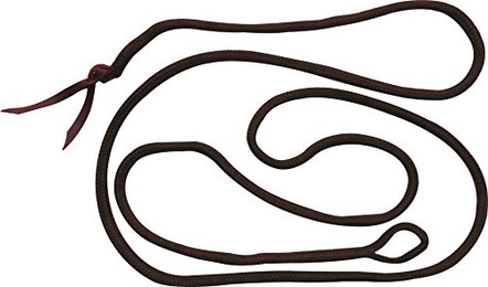 Produktbild von Ethologische Longe braun