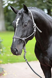 Produktbild von Ethologisches Halfter Cob Kerbl