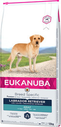 Produktbild von Eukanuba Adult Breed Specific Labrador Retriever - 2 x 12 kg