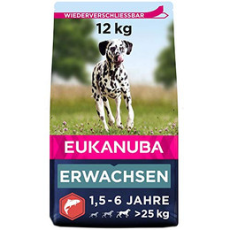 Produktbild von Eukanuba Hundefutter mit Lachs & Gerste für große Rassen - 12 kg