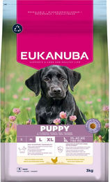 Produktbild von Eukanuba Premium Nutrition Puppy Large & Giant Breed Huhn - Sparpaket: 2 x 3 kg