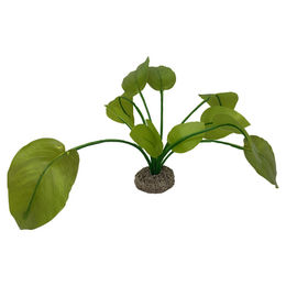 Produktbild von Europet-Bernina Aquariendeko Anubias 2 grün