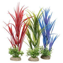 Produktbild von Europet-Bernina Aquariendeko Aquariumpflanze Amazonenschwert