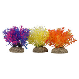 Produktbild von Europet-Bernina Aquariendeko Aquariumpflanze Glossostigma farbig - 1 Stk.