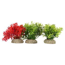 Produktbild von Europet-Bernina Aquariendeko Aquariumpflanze Glossostigma natur - 1 Stk.