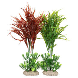 Produktbild von Europet-Bernina Aquariendeko Aquariumpflanze Javafarn