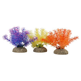 Produktbild von Europet-Bernina Aquariendeko Aquariumpflanze Wasserfeder farbig - 1 Stk.
