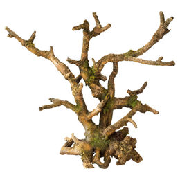 Produktbild von Europet-Bernina Aquariendeko Bonsai ohne Blätter braun