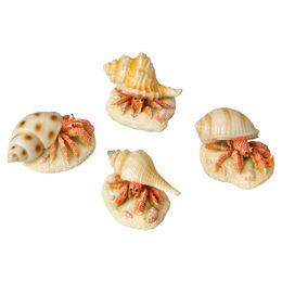 Produktbild von Europet-Bernina Aquariendeko Einsiedlerkrebs Militärtank L