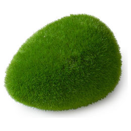 Produktbild von Europet Bernina Aquariendekoration Aqua Della Moos Ball