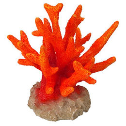 Produktbild von Europet-Bernina Aquariumdekoration Koralle Seriatopora orange
