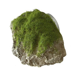 Produktbild von Europet Bernina Aquariumdekoration Moss Stone mit Saugnapf S