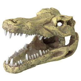 Produktbild von Europet Bernina Krokodil Schädel Aquariumdekoration