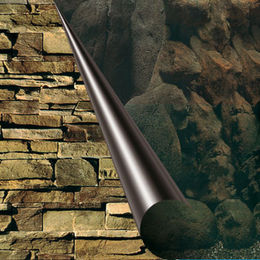 Europet Bernina Photo-Rückwand Motiv Tree und Rock 80x40 cm - 80 cm – Bild 1 von 2