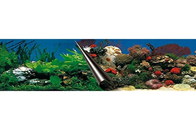 Produktbild von Europet Bernina Photo-Rückwand Stone und Coral 60x30 cm