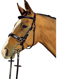 Euroriding Atlanta Trensen Kappzaum Leder Natural Line – Bild 1 von 3