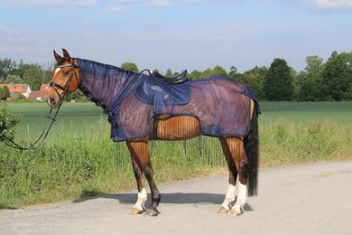 Produktbild von Euroriding Ausreitfliegendecke mit Fransen