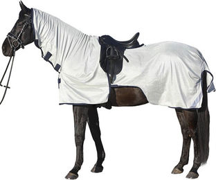 Produktbild von Euroriding AusreitFliegendecke Reflection