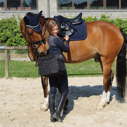 Produktbild von Euroriding Fliegenohren Bright