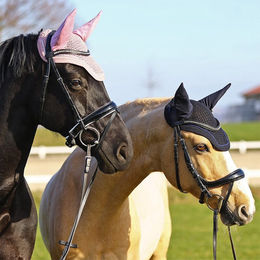 Produktbild von Euroriding Fliegenohren Prag