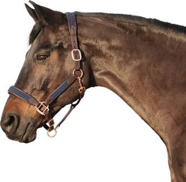 Produktbild von Euroriding Halfter Charly Leder EuroClub