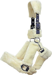 Produktbild von Euroriding Halfter Fluffy