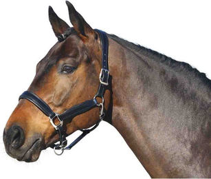 Euroriding Halfter Leder British Line – Bild 1 von 4