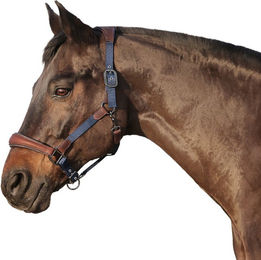 Produktbild von Euroriding Halfter Mellac NylonLeder EuroClub