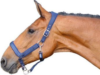 Produktbild von Euroriding Halfter Nylon anatomisch