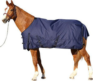 Produktbild von Euroriding Kodiak Heavy Outdoor Decke