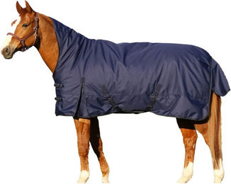 Produktbild von Euroriding Outdoor Decke Kodiak High Neck 0g