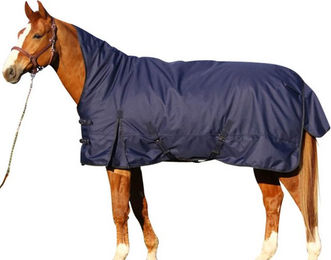 Produktbild von Euroriding Outdoor Decke Kodiak High Neck Light