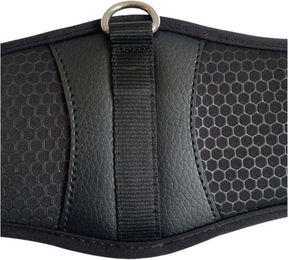 Produktbild von Euroriding Sattelgurt Honeycomb Memory