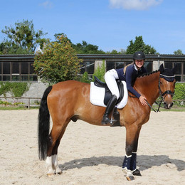 Produktbild von Euroriding Schabracke Salerno