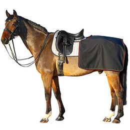 Produktbild von Euroriding Softshell Nierendecke