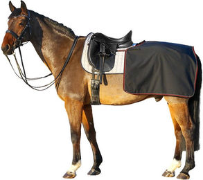 Produktbild von Euroriding Softshell Nierendecke