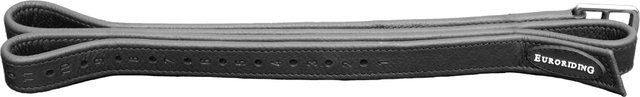 Produktbild von Euroriding Steigbügelriemen by Kentaur