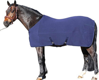 Produktbild von Euroriding Thermo Manager 3in1 Decke