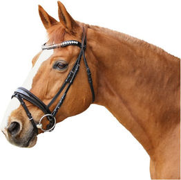Produktbild von Euroriding Trense Barfleur mit schwedischem Reithalfter ohne Zügel EuroClub