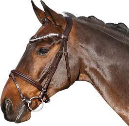 Produktbild von Euroriding Trense La Rochelle englisch kombiniertes Reithalfter ohne Zügel