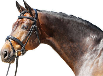 Produktbild von Euroriding Trense Super Soft mit schwedischem Reithalfter EuroClub